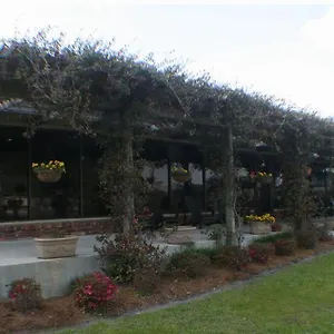2* Hotel Quail Run